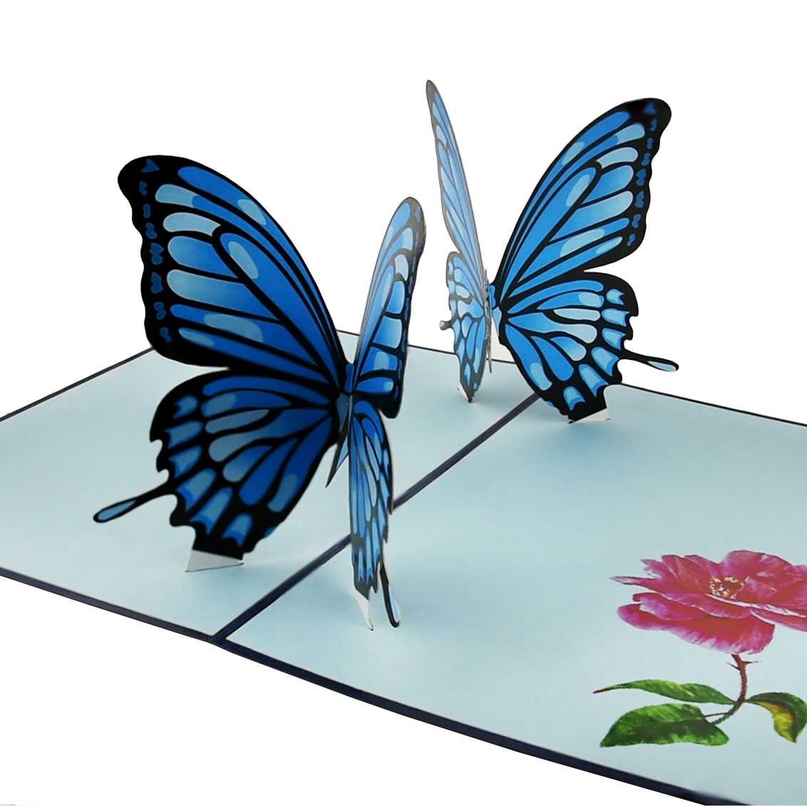Double Blue Butterflies Pop Up Card