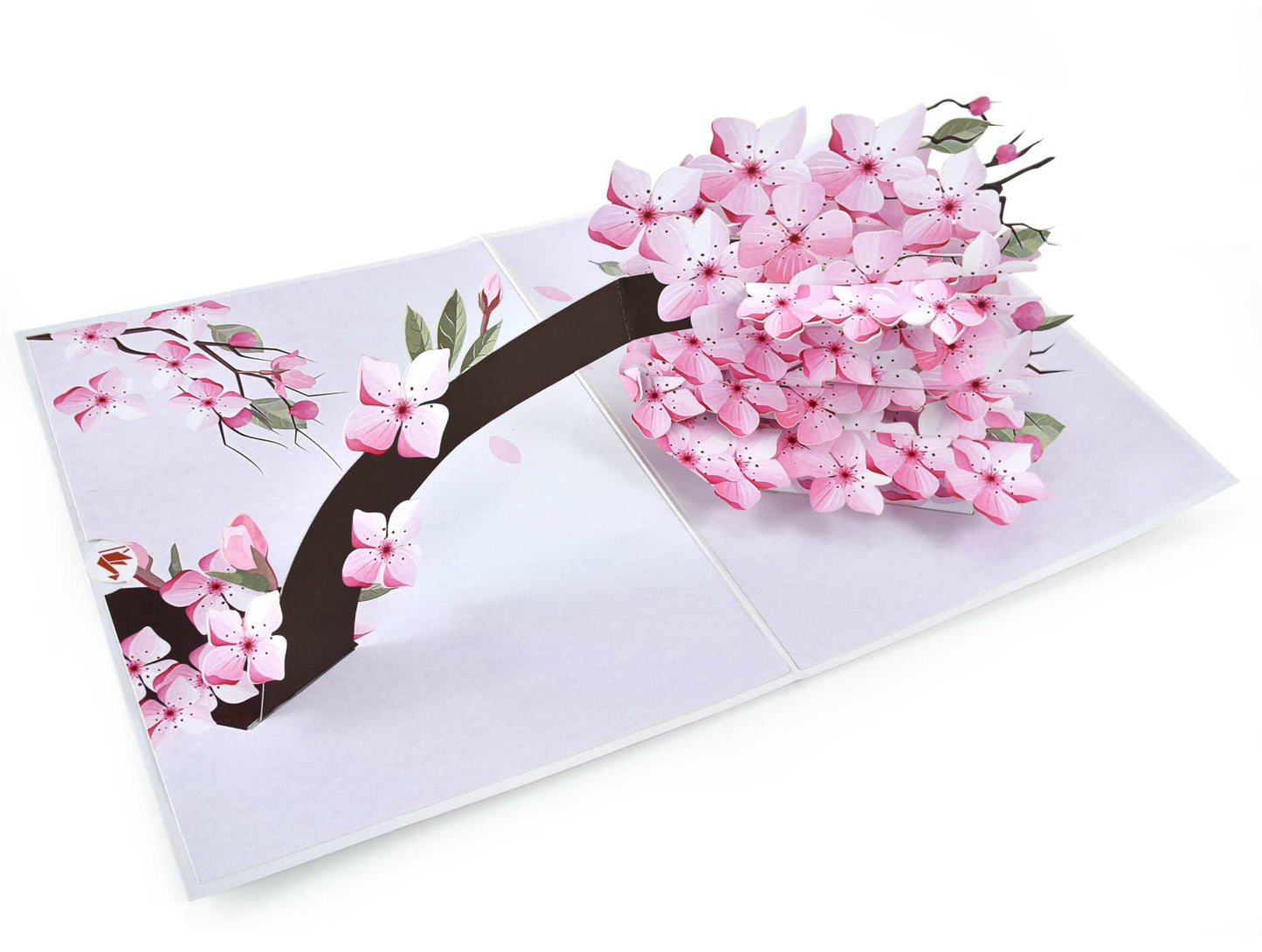 Cherry Blossom Pop Up Card