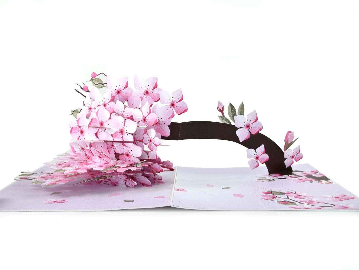 Cherry Blossom Pop Up Card
