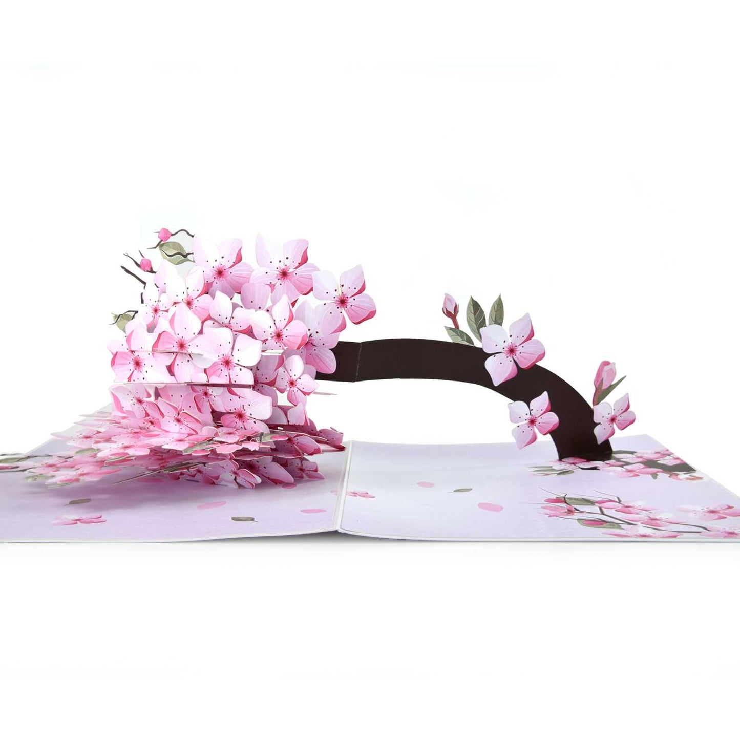 Cherry Blossom Pop Up Card