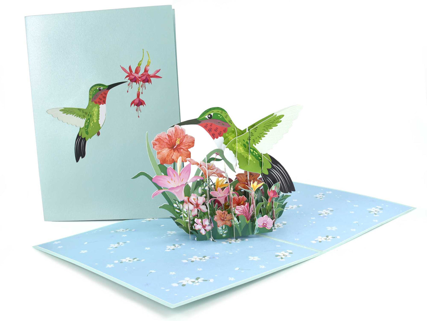 Hummingbird Pop Up Card