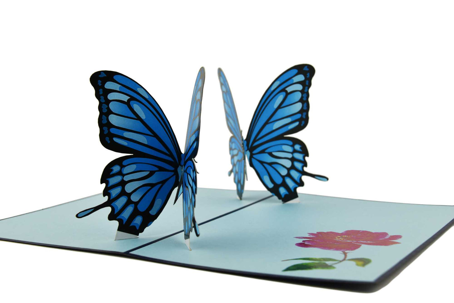 Double Blue Butterflies Pop Up Card