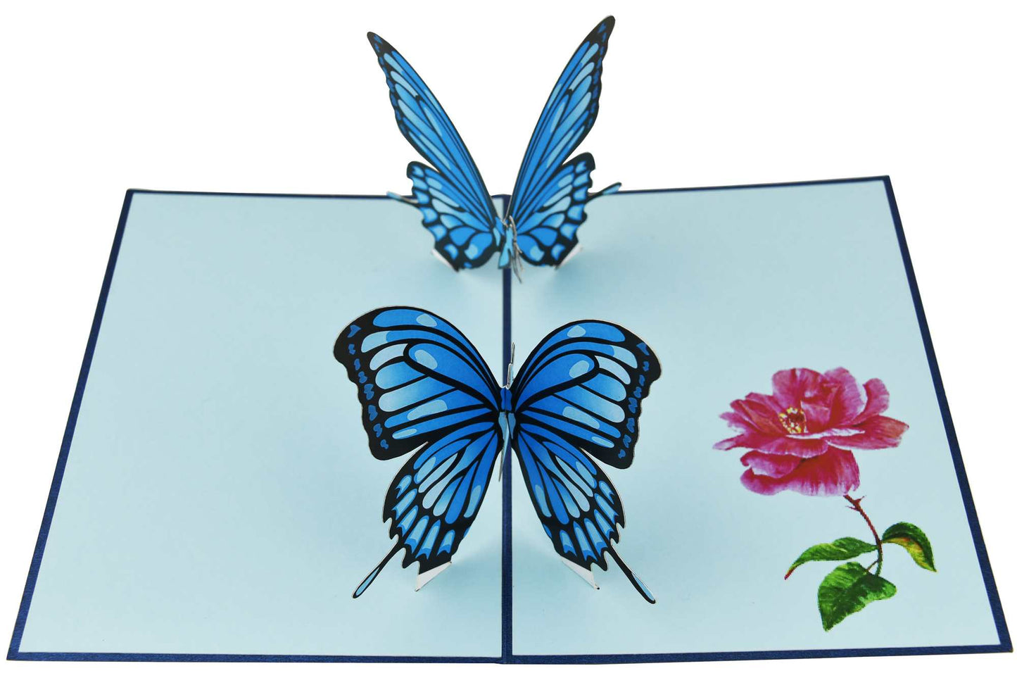 Double Blue Butterflies Pop Up Card