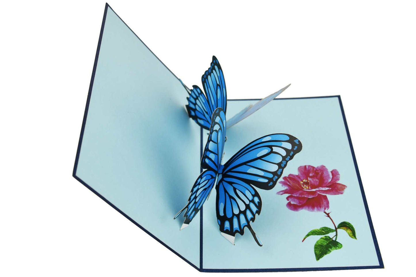 Double Blue Butterflies Pop Up Card