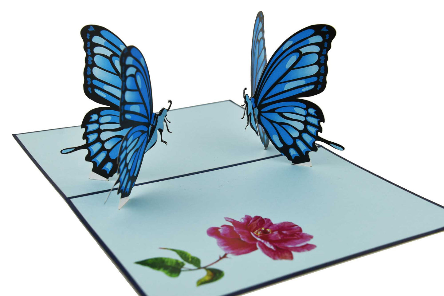 Double Blue Butterflies Pop Up Card