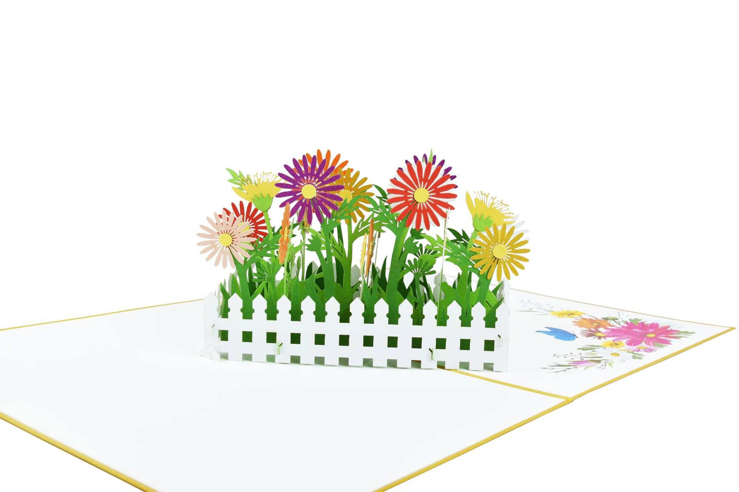 Daisy Flower Garden Pop Up Card