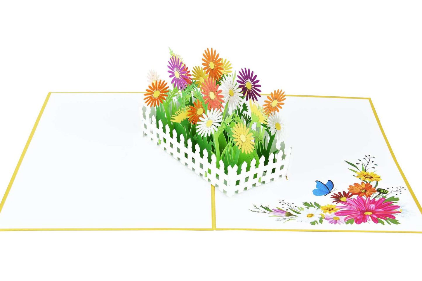 Daisy Flower Garden Pop Up Card