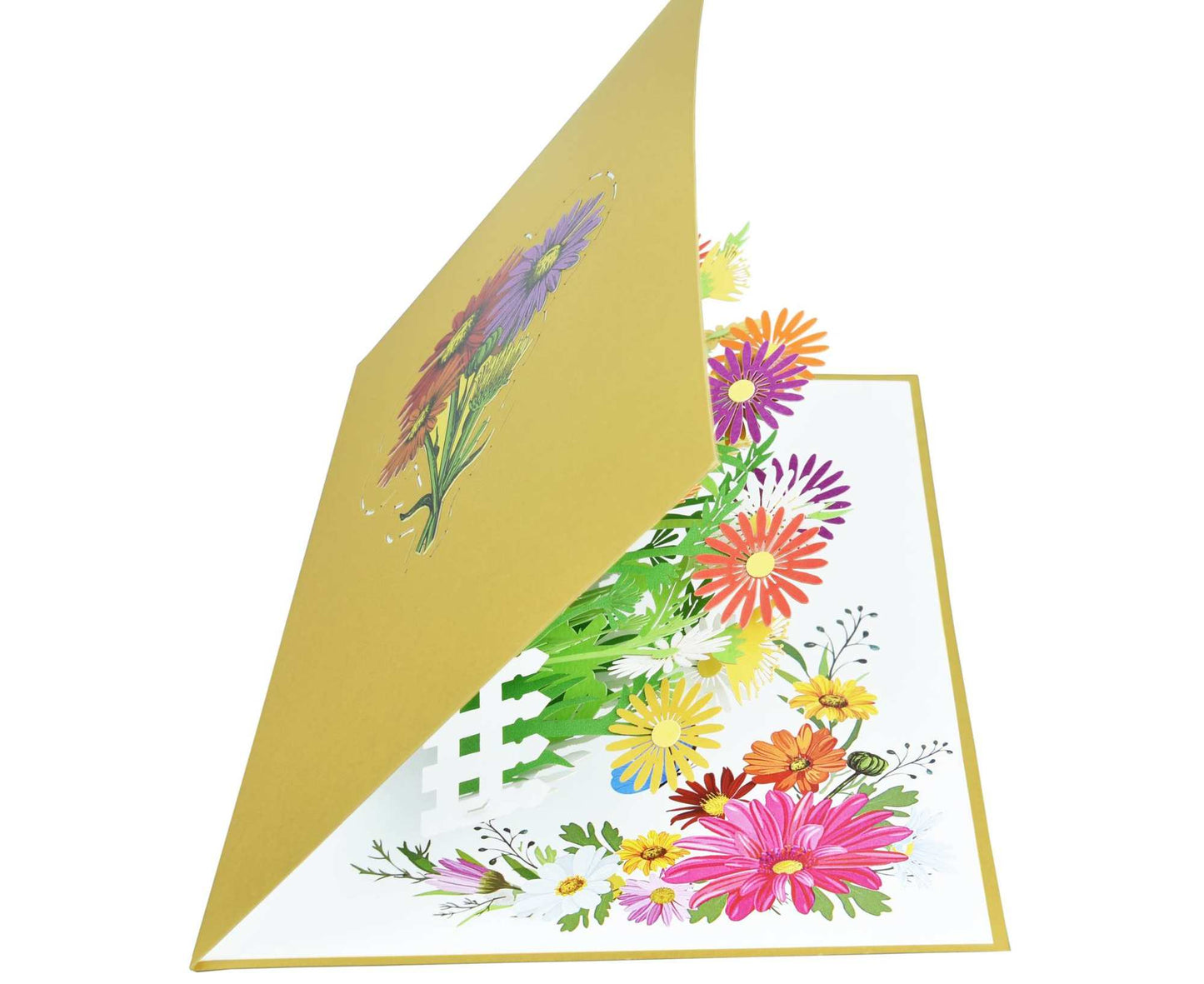 Daisy Flower Garden Pop Up Card