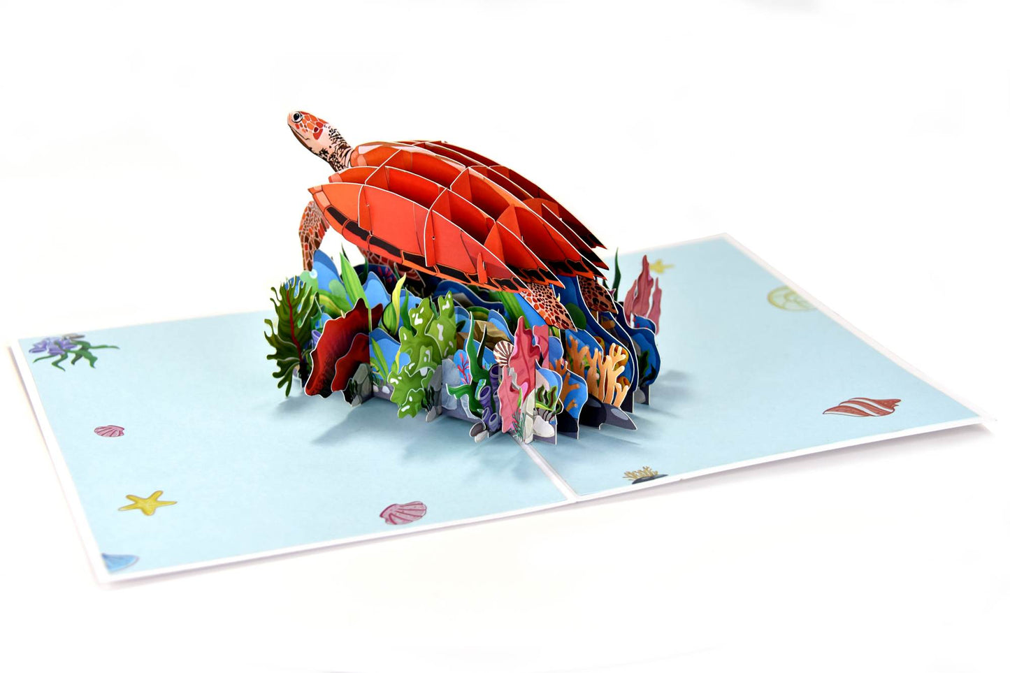 Turtle, Under the Ocean Pop Up Card