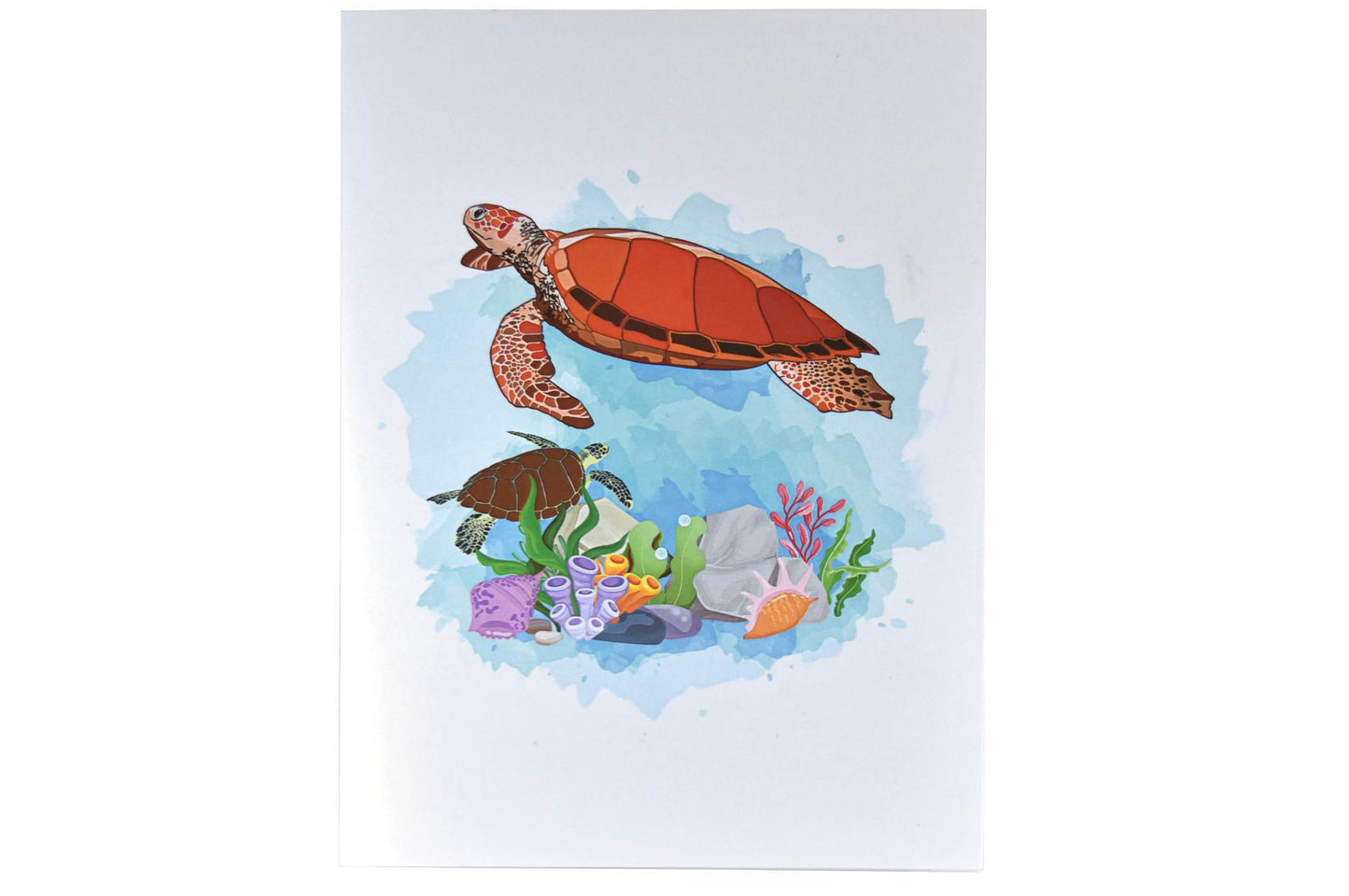 Turtle, Under the Ocean Pop Up Card