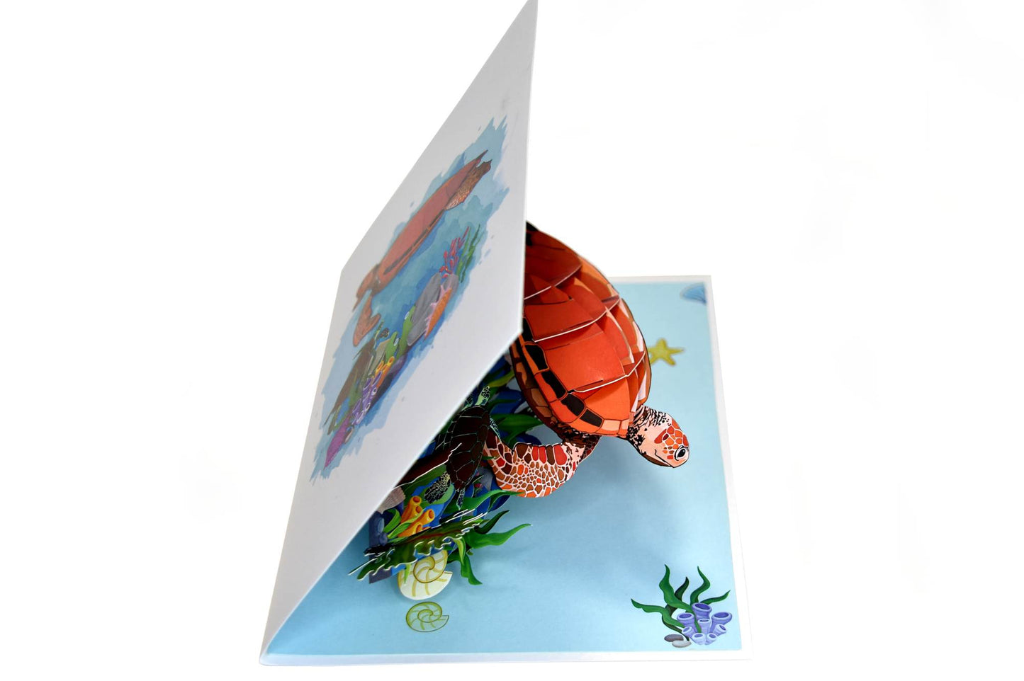 Turtle, Under the Ocean Pop Up Card