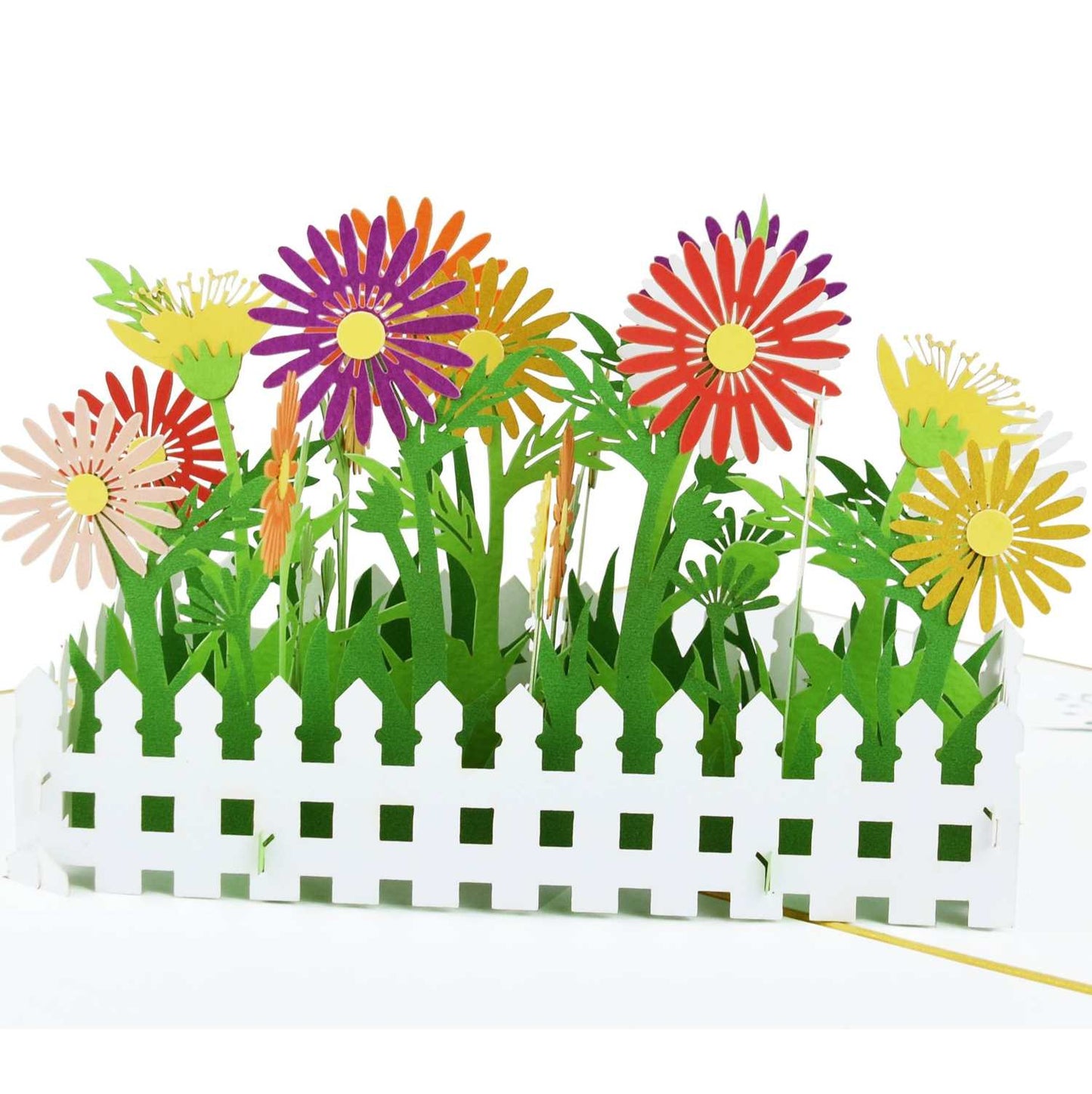 Daisy Flower Garden Pop Up Card
