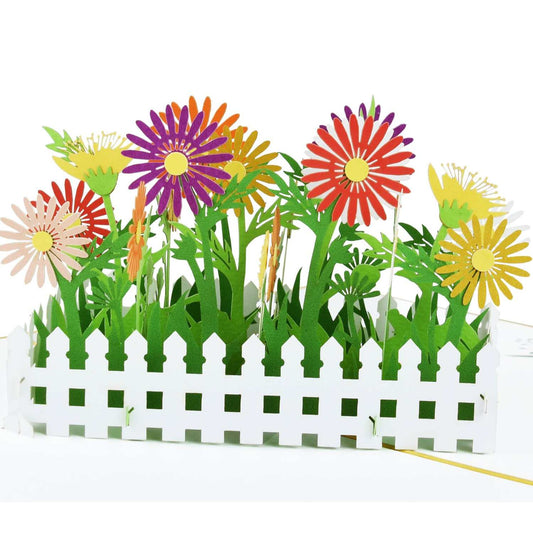 Daisy Flower Garden Pop Up Card