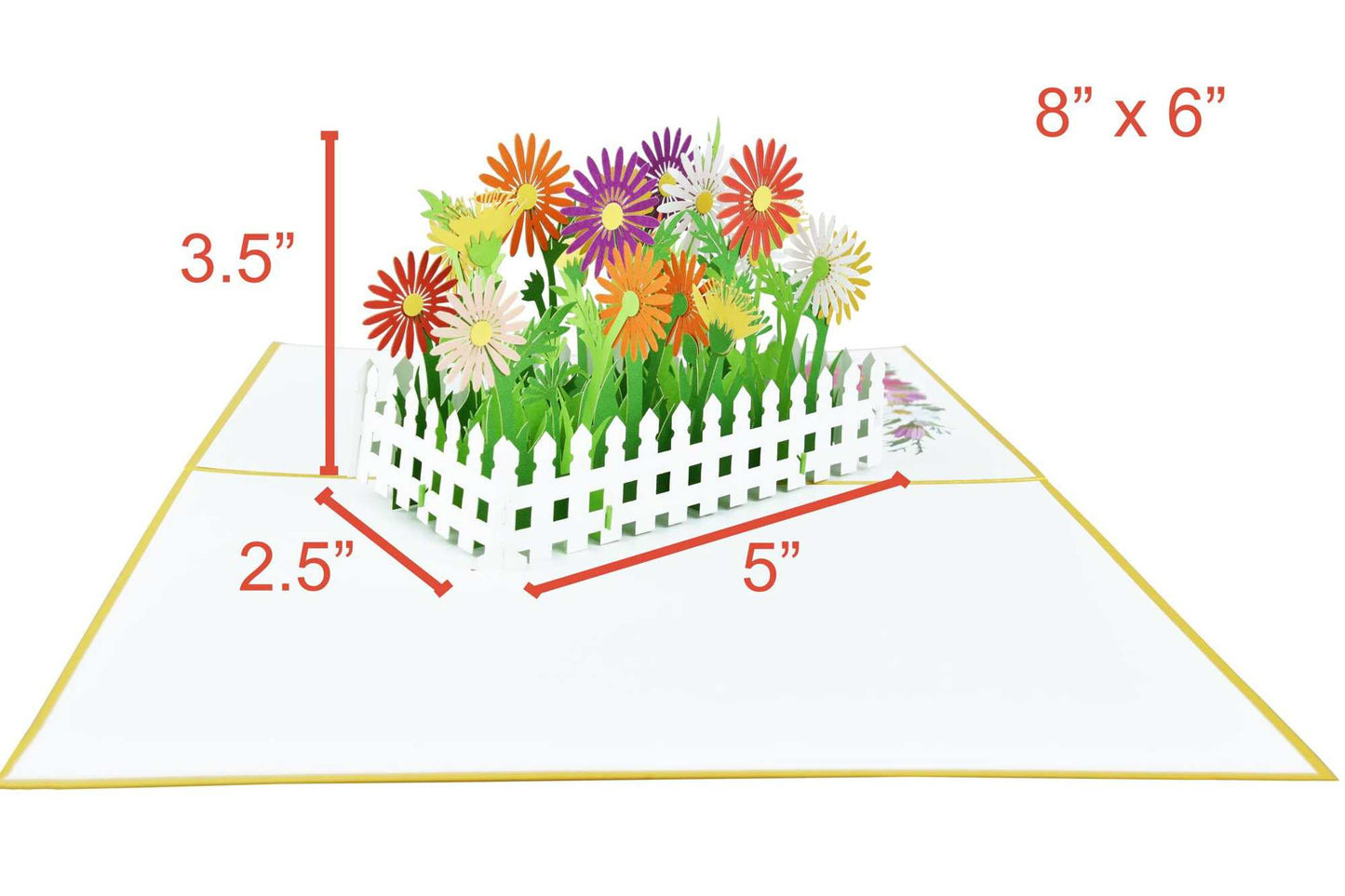 Daisy Flower Garden Pop Up Card