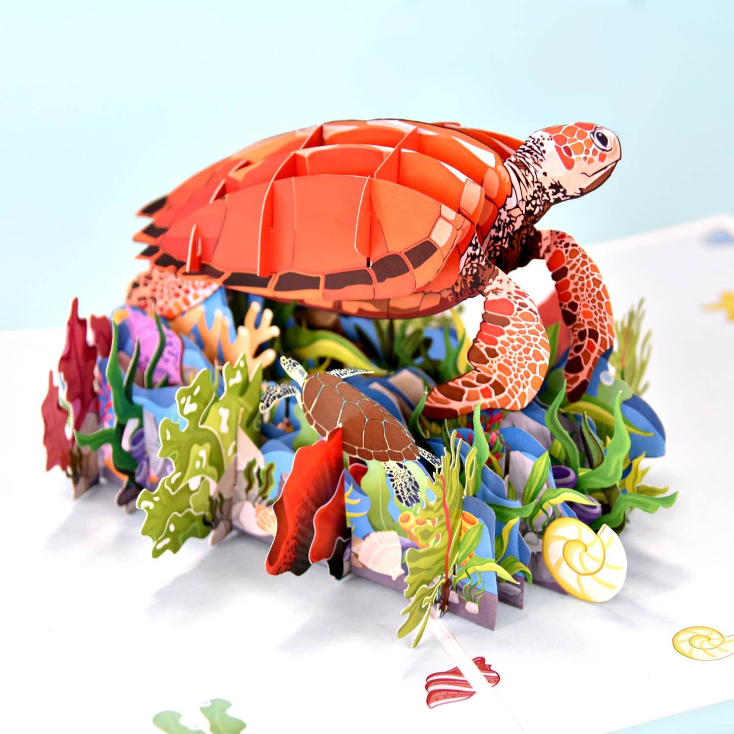 Turtle, Under the Ocean Pop Up Card