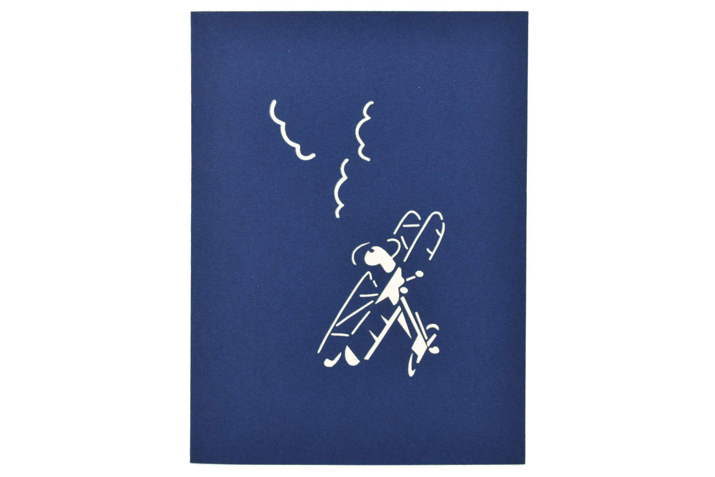 Biplane Pop Up Card